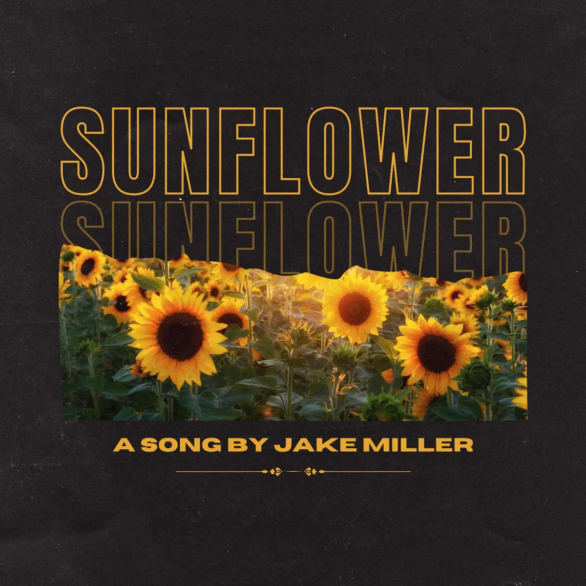 Jake Miller - Sunflower - Single (2023) [iTunes Plus AAC M4A]-新房子
