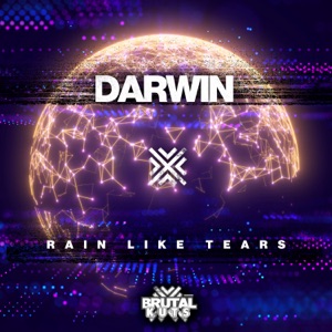 Rain Like Tears - Single