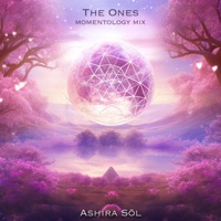 The Ones (Momentology Remix) - Single - Ashira Sōl
