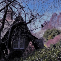 Bittersweet - Single - melon