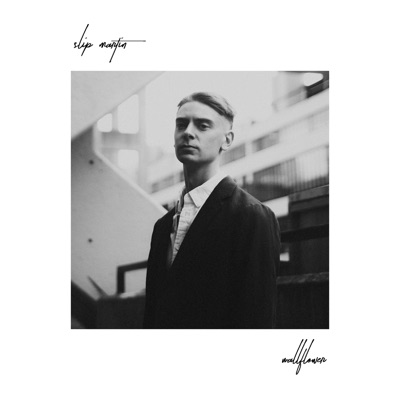 Wallflower - Single