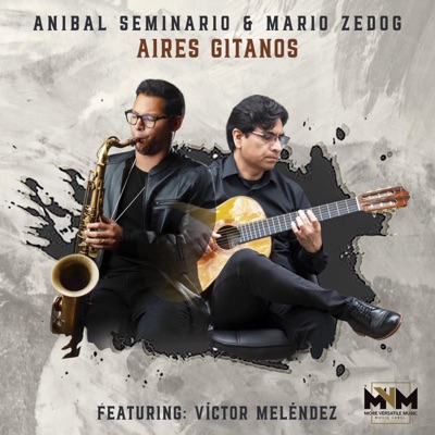 Aires Gitanos - Single