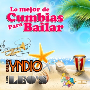 Lo Mejor de Cumbias Para Bailar (Grupero)