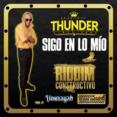 Sigo en lo mio (feat. Carlos Thunder) - Single