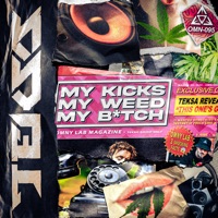 My Kicks, My Weed, My Bitch - Single - Teksa