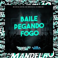Baile Pegando Fogo - Single - DJ REIS ZS, Mc CR Da Capital & MC Fefe Da ZL
