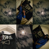 Birthday 23 (feat. Alesha B) [Radio Edit] - Single - HaloDD