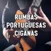 RUMBA PORTUGUESA 2024 DJ TONA - Single