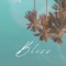 Bliss - David Sosa lyrics