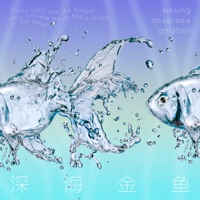 深海金鱼 - Single - Kiko李思宇