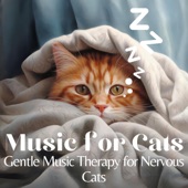 Music for Cats - Gentle Music Therapy for Nervous Cats artwork