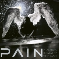Nothing Remains The Same - PAIN
