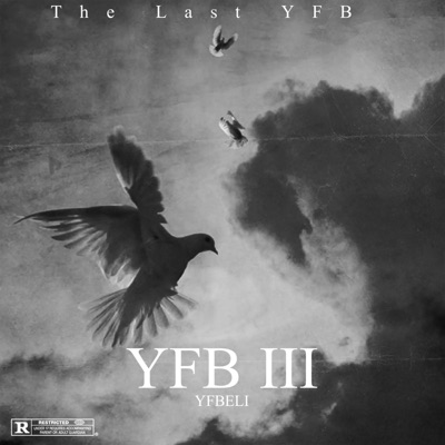 Yfb 3