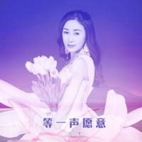 等一声愿意 - Single - 寂悸