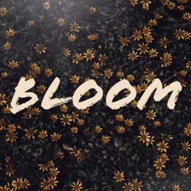 Bloom (feat. Priv) Lavv