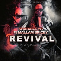 Revival - Single - Shabaka Yg & Malam Spicey