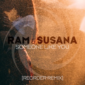 Someone Like You (Reorder Remix) - Single