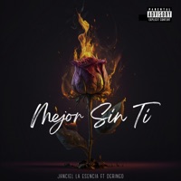 Mejor sin ti - Single - Janciel la esencia & Flowkilla