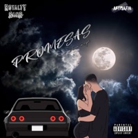 Promesas - Single - Steven Royal