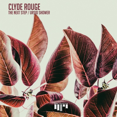 The Next Step / Ursid Shower - Single