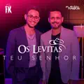 Os Levitas