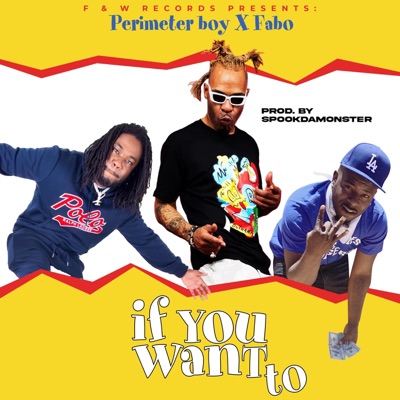 If You Want to (feat. Perimeter boy & Fabo) - Single