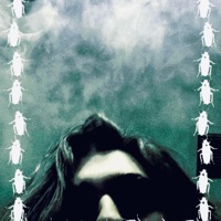 F**k Northern.* - Northern