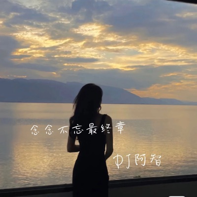 DJ阿智 - 念念不忘最终章