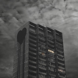 Мёртвые птицы Fluxyluv