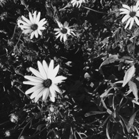 Never Enough! (feat. Aftrthght) - Single - Kurly!