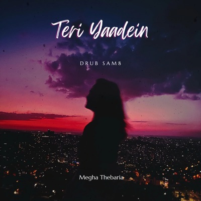 Teri Yaadein - Single