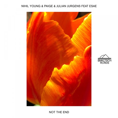 Not The End (feat. ESAE) [Extended] - Single