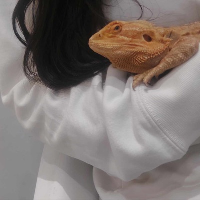 WINVOS - อาหารว่าง3 (Remix)