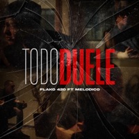 TODO DUELE (feat. MELODICO) - Single - Flako420