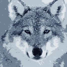 Marca Del Lobo (Broadcast Version) EL NIÑO & Tee Lopes