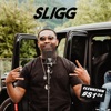 Sligg S1.04 #Elevation - Single