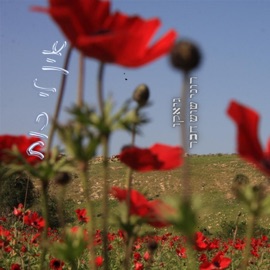 אין לי כוח (feat. Roni Chaver) Guyku