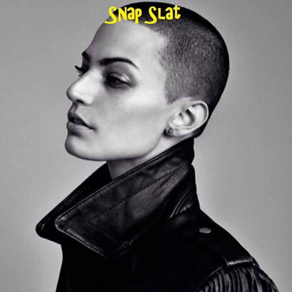 Snap Slat