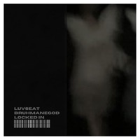 LOCKED IN (feat. Bruhmanegod) - Single - LOWLiFELEX