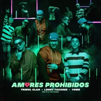 Amores Prohibidos - Single - Trebol Clan, Lenny Tavárez, Yomo & DJ Joe