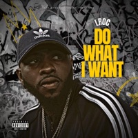 Do What I Want (Radio Edit) [Radio Edit] - Single - LRoc