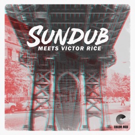 Burn Down the Place Dub (feat. Joanna Teters) SunDub