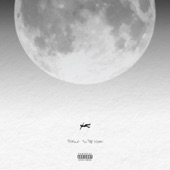 Ticket To The Moon artwork