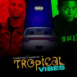 Tropical vibes (feat. Flamez fmg) Munop Dc