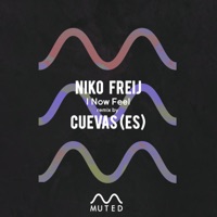 I Now Feel - Single - Niko Freij