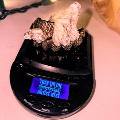 Trap or Die (feat. Artist West) - Single