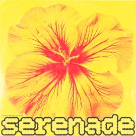 Serenade 2AAB & angel5tars