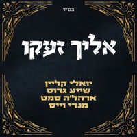 אליך זעקו - Single - אהרלע סמט, Yoeli Klein, Mendy Weiss & שייע גראס