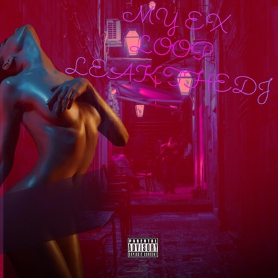 LeakTheDJ - Ex-Leakthedj(Loop)
