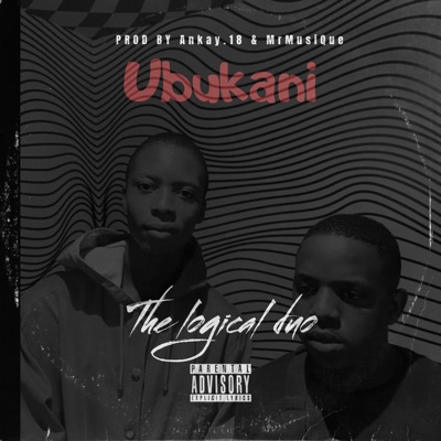 Ubukani (feat. Ankay.18, W4RH Musiq & Mvelistothemessiah) [Special Version] - Single